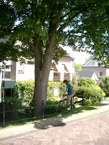 Capelle wandeling