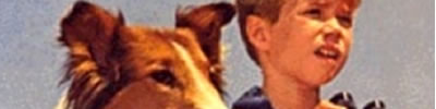 Lassie
