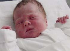 Amalia